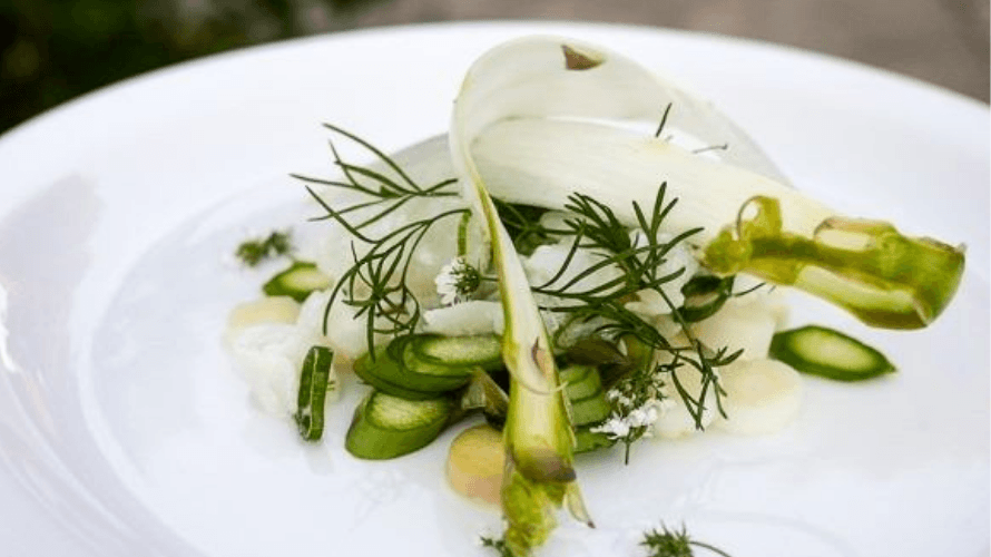 Ceviche med koriander, forårsløg og asparges