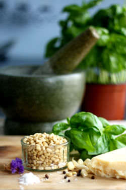 Pesto alla Genovese